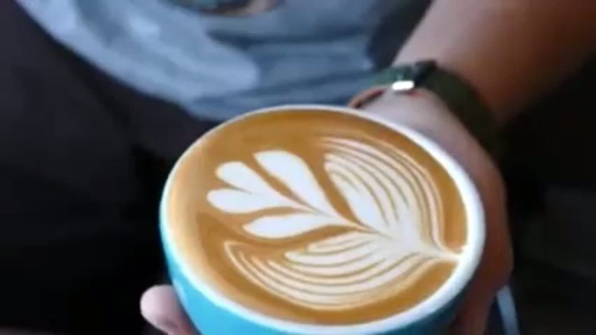 Perq Studio - Work Life